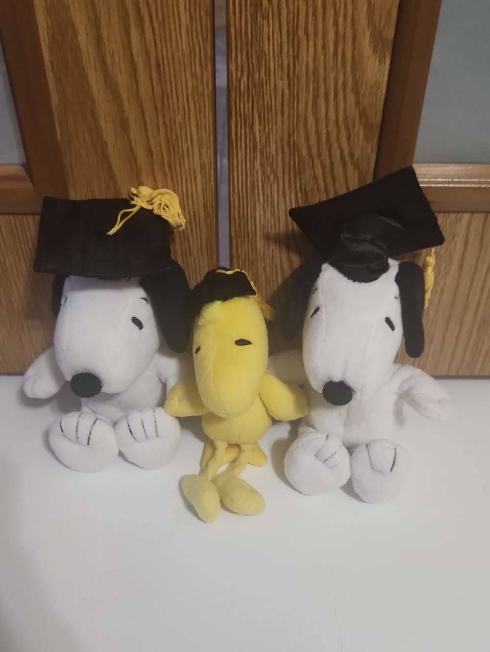 Snoopy And Woodstock Peanuts Stuffed Graduation Plush Lot Of 3